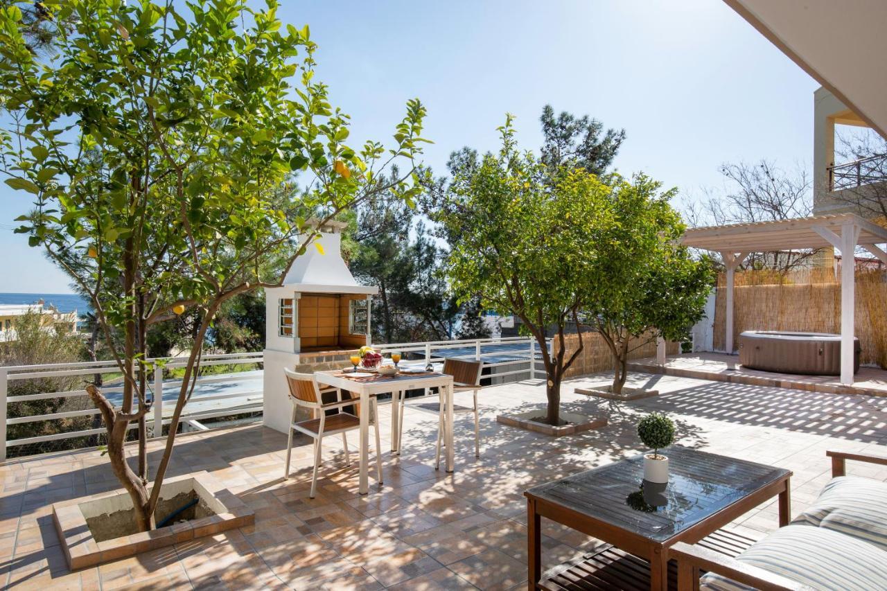 Theros Luxury Apartment Archangelos  Exterior photo